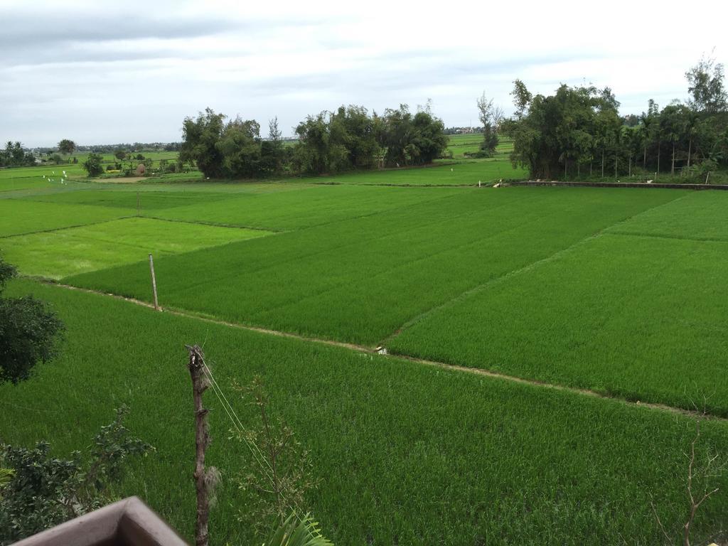 Iris De Villa Hoi An Zewnętrze zdjęcie