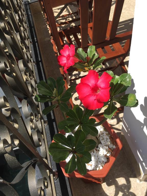 Iris De Villa Hoi An Pokój zdjęcie
